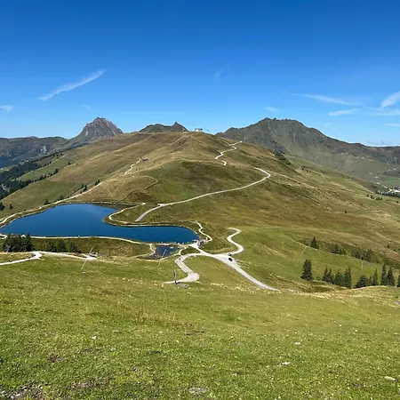 Hartl Διαμέρισμα Mittersill